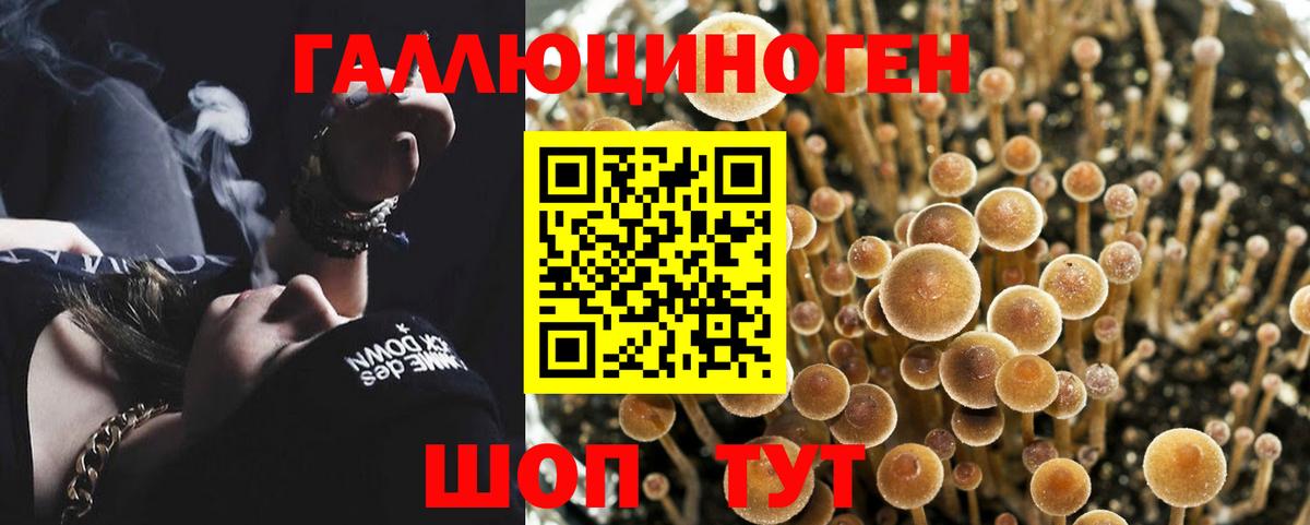 Псилоцибиновые грибы MAGIC MUSHROOMS  Псилоцибиновые грибы мухоморы  Вход с VPN  Трёхгорный 