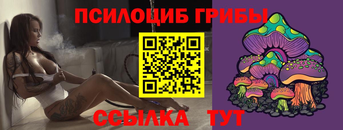 Псилоцибиновые грибы Psilocybe Трёхгорный